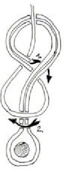 Datei:Abb 134 10.jpg